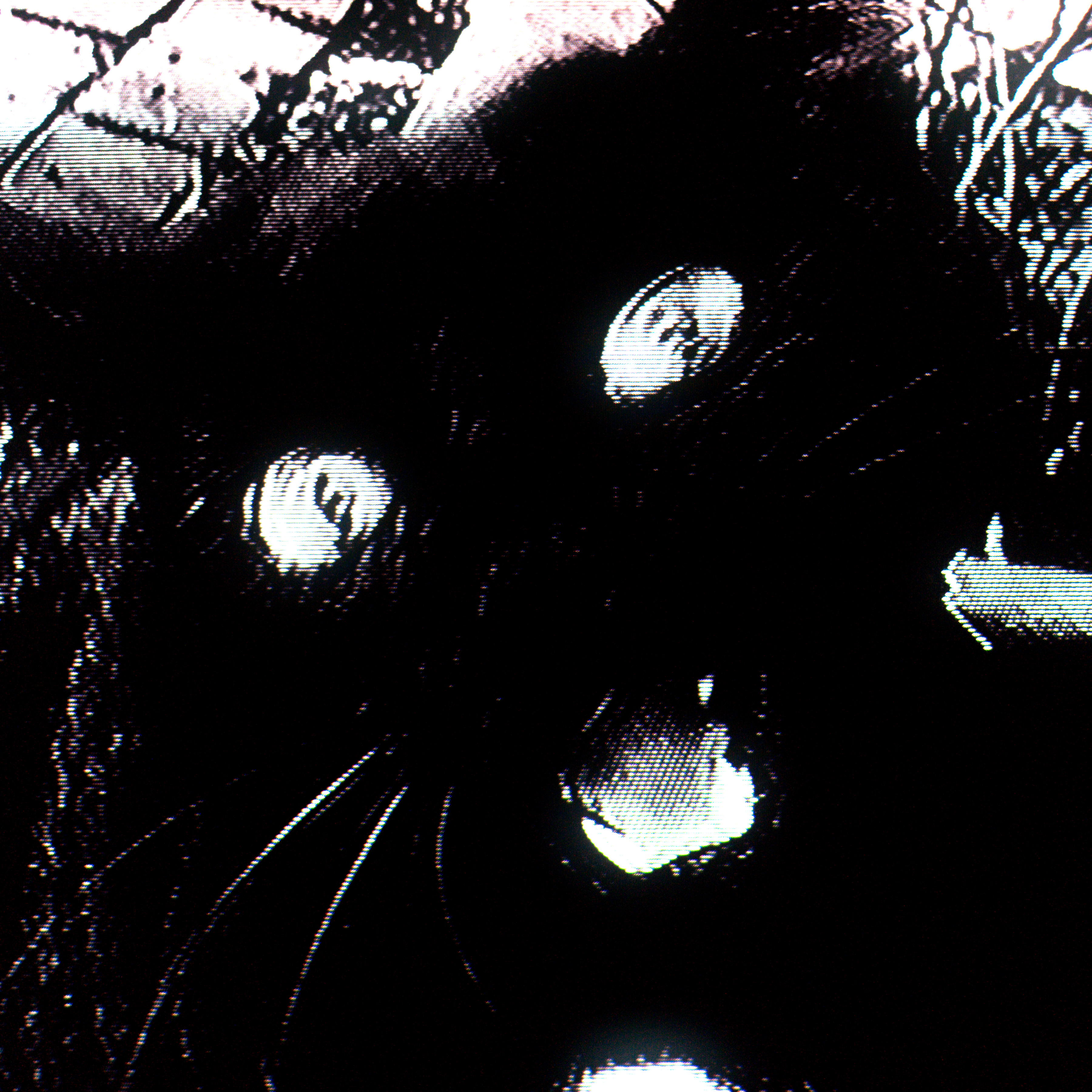 Interview: breakcore guidebook japan | aaron spectre